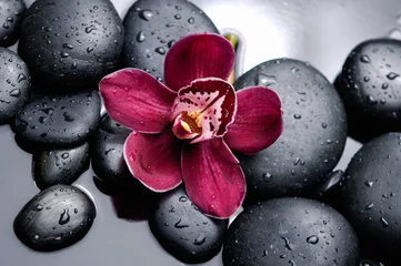 Foto auf Acrylglas Orchidee Orchidee mit Therapiesteinen