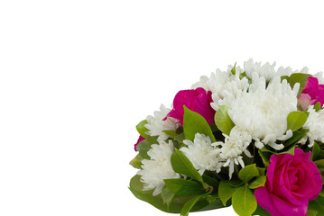 Colorful flowers on white background