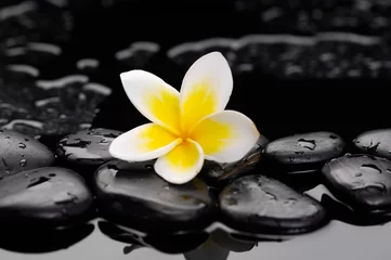 Foto op Plexiglas Zen wet stones and frangipani     © Mee Ting