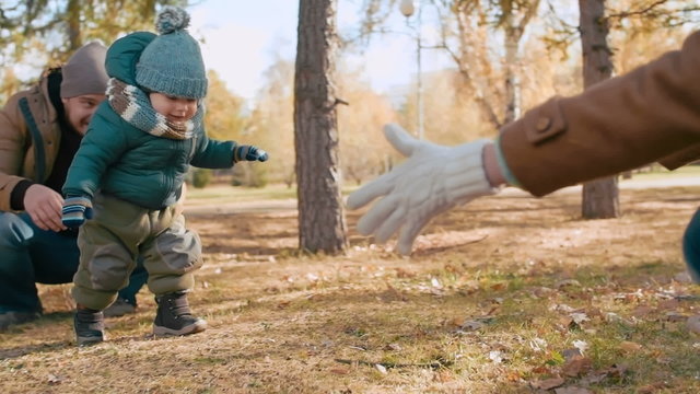 Loving parents teaching their baby son to walk on autumn day 