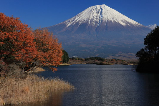 晩秋の田貫湖と富士山