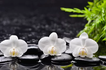 Fototapeten Weiße Orchidee und grünes Blatt mit Therapiesteinen © Mee Ting