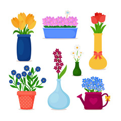 Spring flowers in pots and vase set