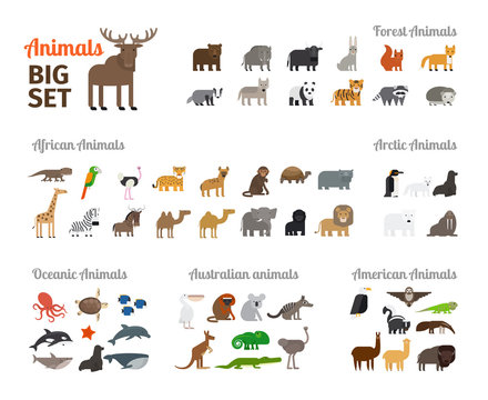 Animals in flat style