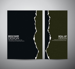 Abstract Torn paper brochure business design template or roll up. Vector illustration.