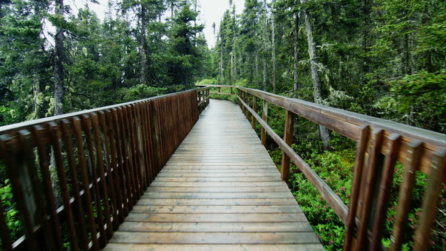 Walking POV on a Wet Boardwalk on a rainy Day of Summer