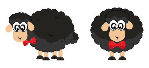 sheep black funny