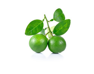Lime fruit isolated on white background.