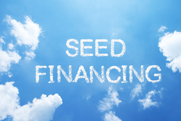 Fototapeta premium seed financing cloud word on sky.