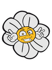 Winner grin victory sign symbol hands face funny daisy daisy