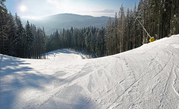 Ski piste among the spruce forest in sunny day