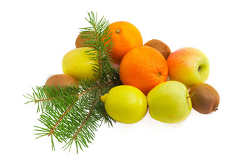 Different fruits and fir branch