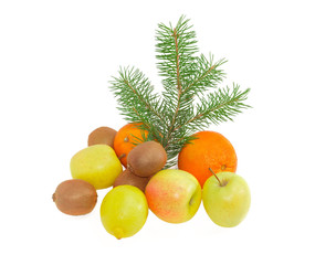 Different fruits and fir branch