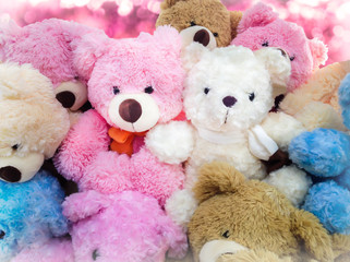 Lovely couple bear doll gift with pink background