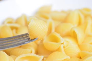 Cooked pasta