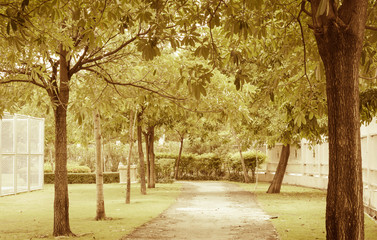 Naklejka premium public park