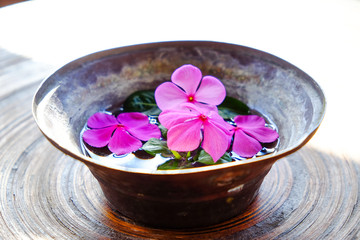 Flowers floating in water in a bowl