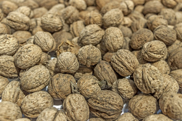 Lot of walnut close on white table