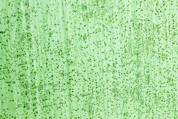 Green wall background, Old wall