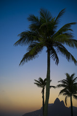 Fototapeta na wymiar Dark sunset in Rio de Janeiro Ipanema Beach Brazil featuring Two Brothers Dois Irmaos Mountain under palm tree silhouettes 