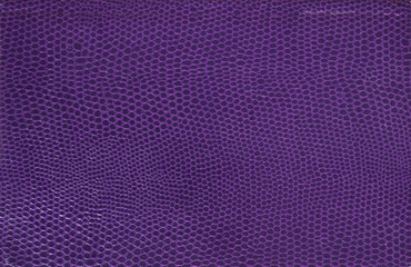 violet reptile leather texture