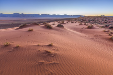 Fototapeta na wymiar Patterns in the sand on the dune