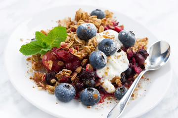 berry crumble with oat flakes and blueberries, closeup