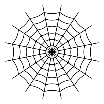 Spider Web - Black Vector
