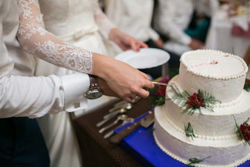 Obraz na płótnie Canvas white multi level wedding cake
