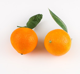 tangerines on a light background