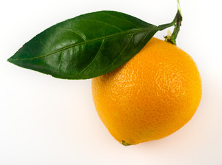 tangerines on a light background