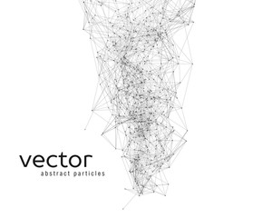 Vector abstract particles