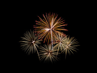 Fototapeta premium Fireworks light up the night sky