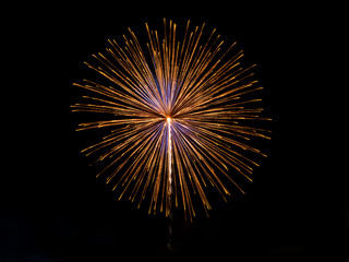 Firework light up the night sky