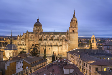 Fototapeta na wymiar Catedral Nueva y Vieja y Ieronimus