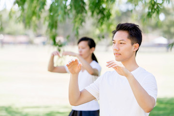 People practicing thai chi in park