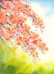 Flowering branches. Watercolour background