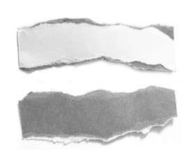 Pieces of torn paper