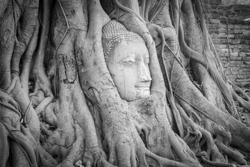 Head of Buddha statue in the tree roots at Wat Mahathat temple, Ayutthaya, Thailand.
