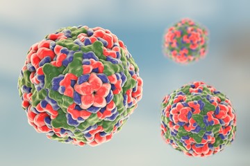 Illustration of Enterovirus D68 which causes respiratory infections in children on colorful background. A model is built using data of viral macromolecular structure from Protein Data Bank (PDB 4WM8)