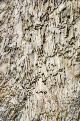 Surface of a rock in Crimean Mountains