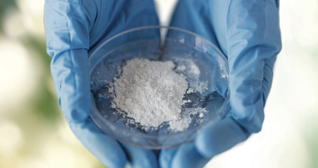 close up of scientist hands holding petri dish