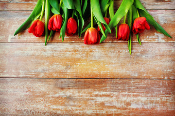 close up of red tulips on wooden background