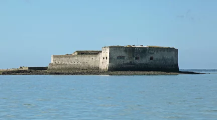 Photo sur Plexiglas Travaux détablissement Fort Enet