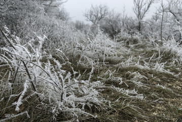 Hoar frost on a piece of cable. This image was taken in mid december, in Hungary, in a beutuful vineyard.