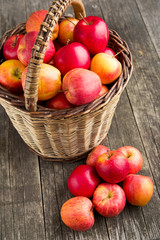 autumn apples in basket