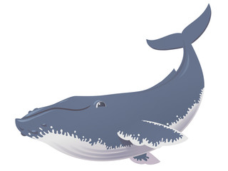 Fototapeta premium funny humpback whale