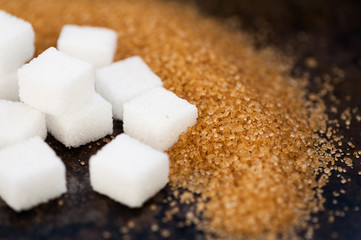 Sugar