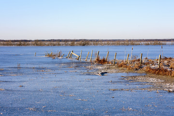 Frozen lake in winter