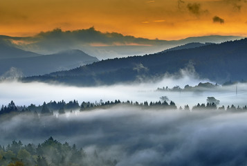 Foggy morning in the landscape